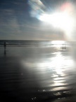 dscf1009.jpg