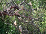 dscf1047.jpg