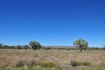 wa2_4325.jpg