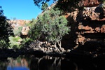 wa2_4429.jpg
