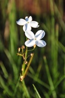 wa2_4472.jpg