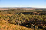 wa2_4520.jpg