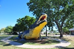 The Wyndham Croc