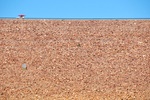The dam