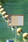 wa2_4641.jpg